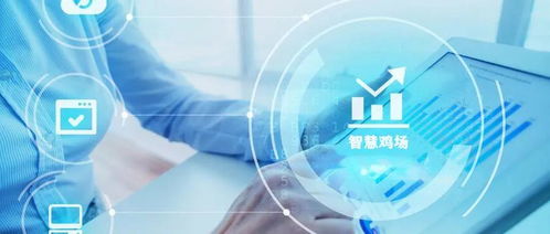 自动化生产与信息技术的深度融合 打造新概念智慧鸡场